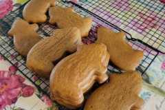 gingerpig