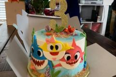 shark2